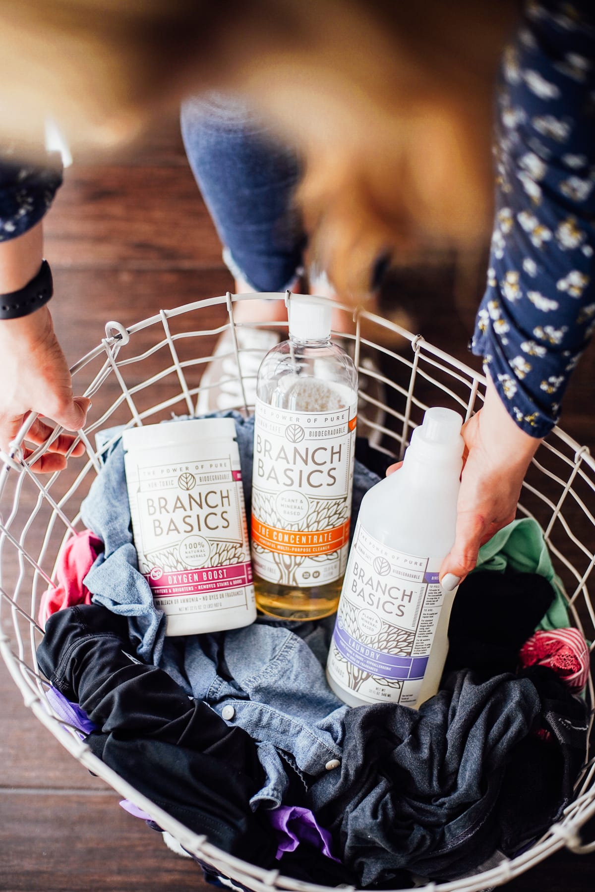 Branch Basics laundry soap and concentrate in a laundry basket.