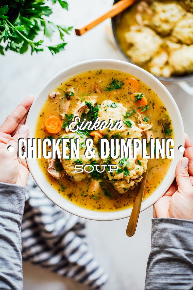 Einkorn Chicken and Dumpling Soup