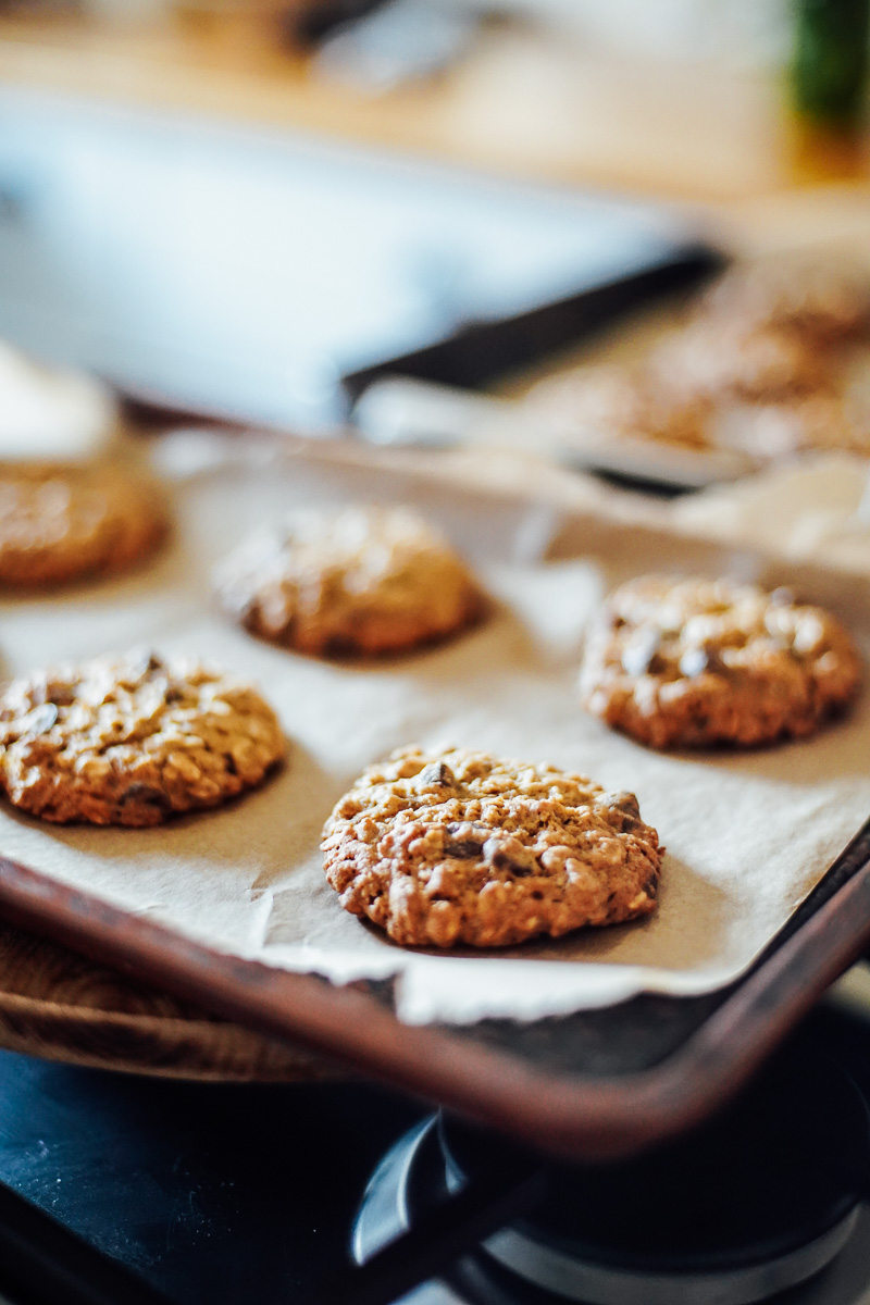 Fresh from the oven cookies, on a sheet pan.