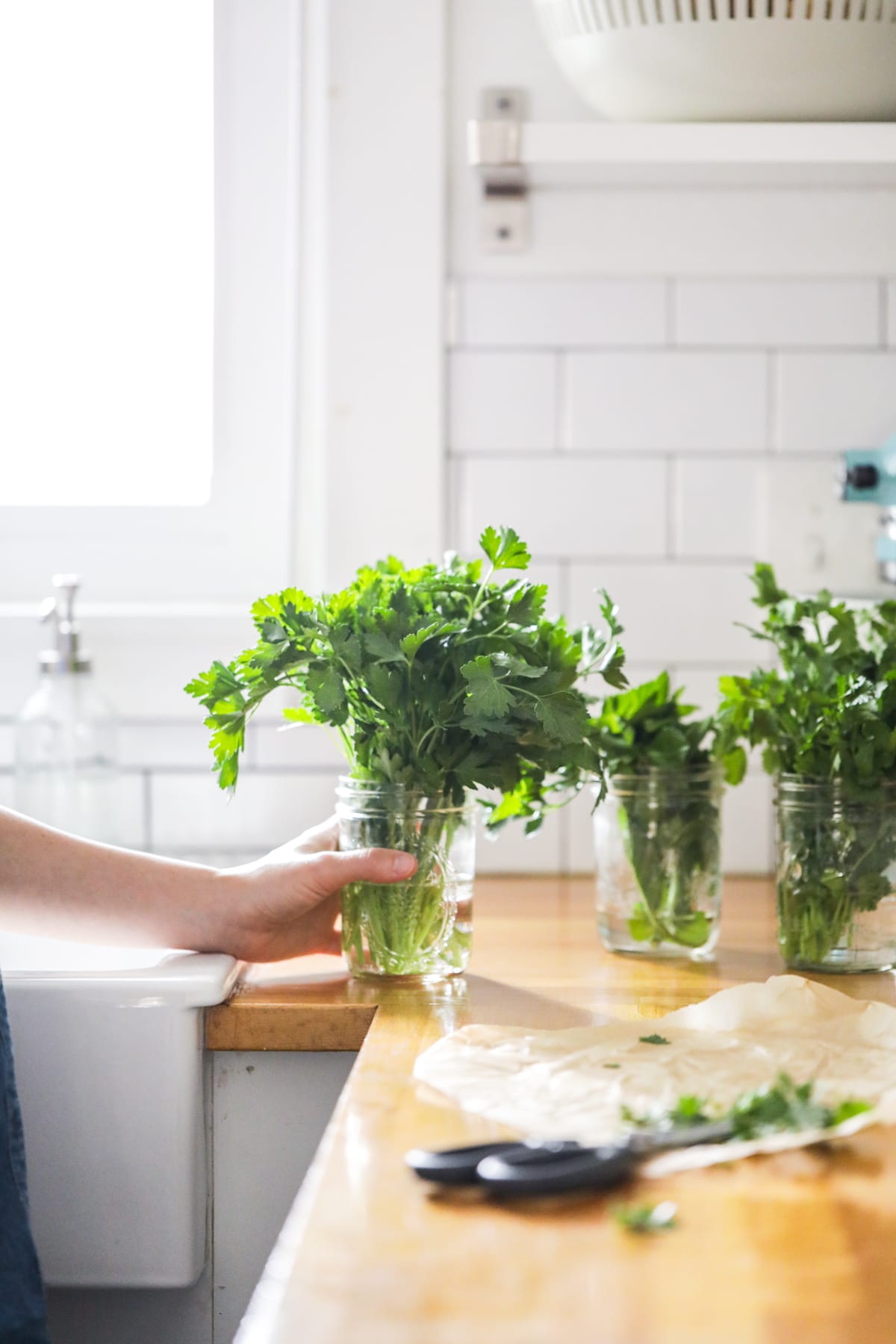 How to Store Fresh Herbs