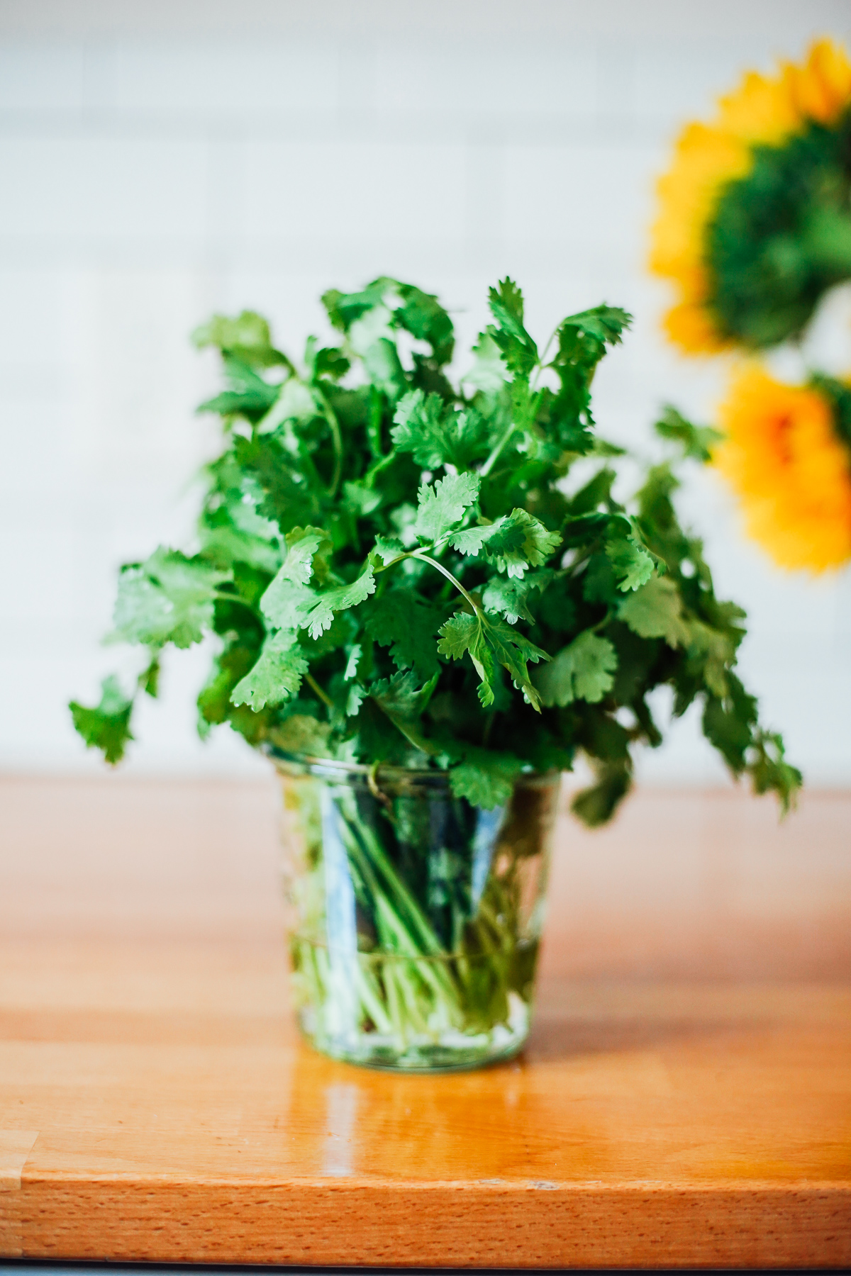 Cilantro in a mason jar with water in the jar.