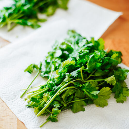 Fresh cilantro on a paper towel.