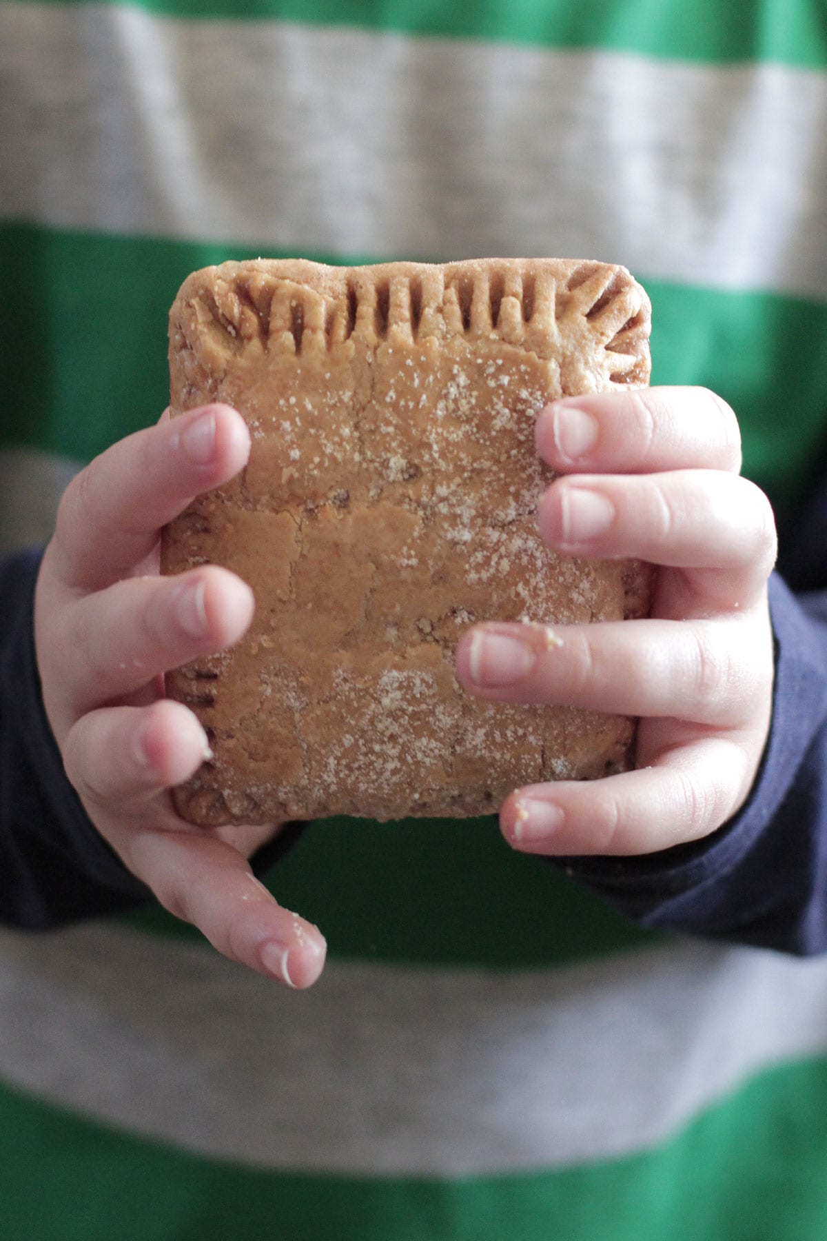 Whole Wheat Homemade Pop-Tarts