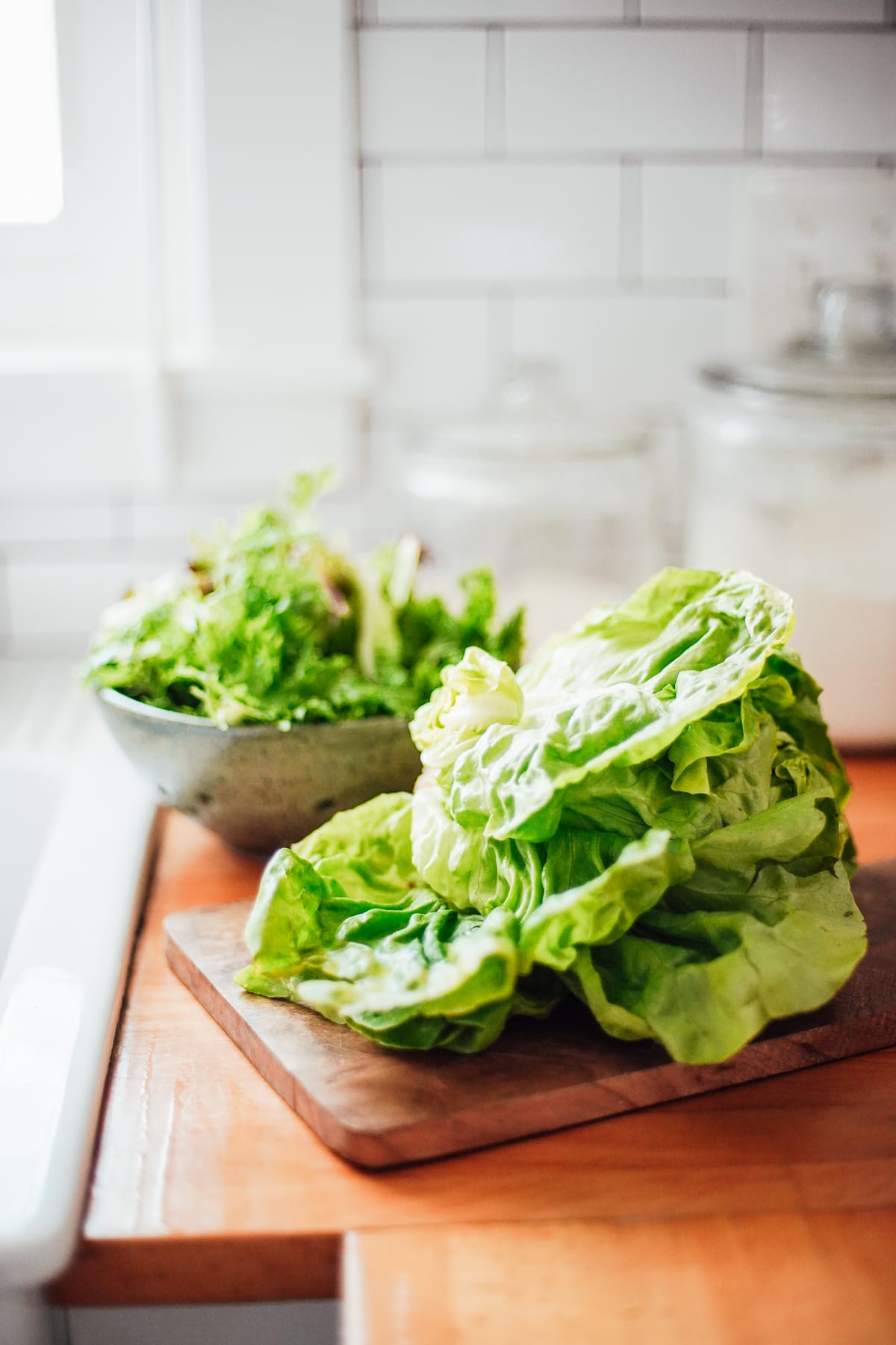 butter lettuce 