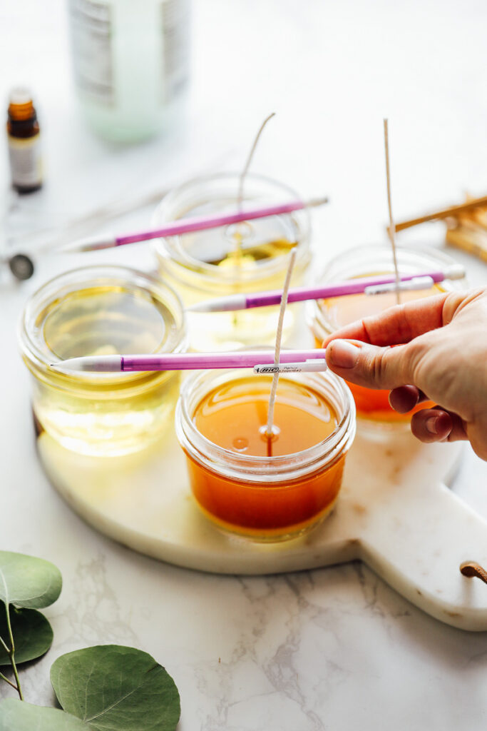 Candles freshly poured with melted wax and wicks. 