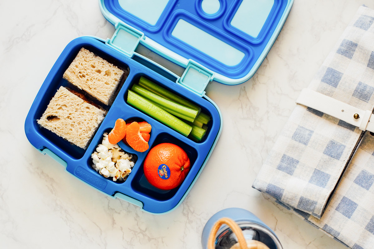 Peanut butter and jelly sandwich in a bento box with a clementine, celery sticks, and popcorn.