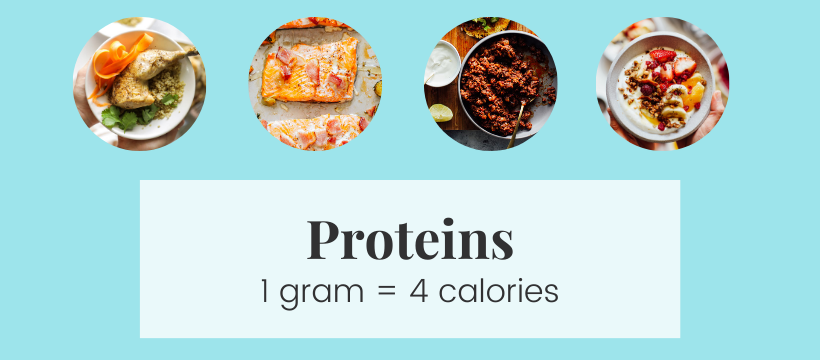 Chart with pictures of protein. 